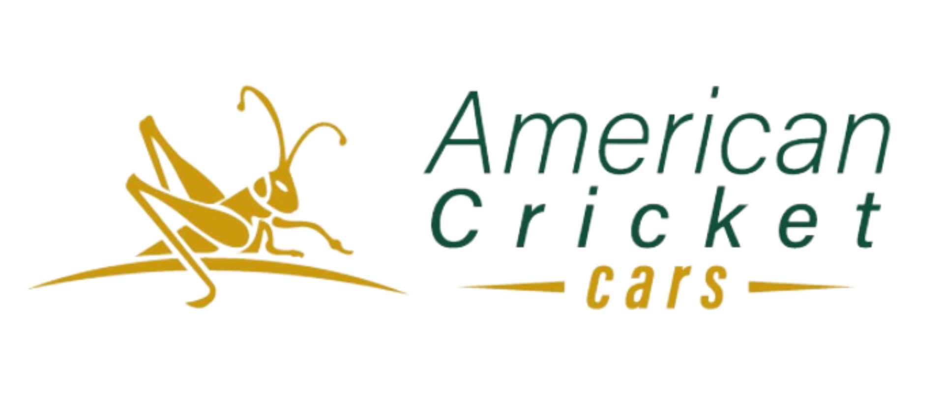 LOGO AMERICAN CRICKET CARS SIN FONDO